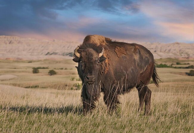 Private Tour of the Badlands With Local Experts