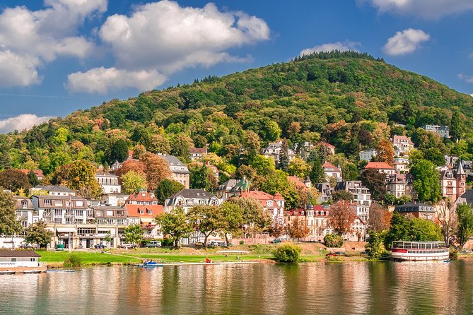 Private Tour of the Best of Heidelberg- Sightseeing, Food & Culture With a Local - Heidelbergs Must-See Landmarks