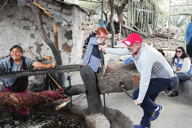 4 Best Tours In San Luis Potosi City