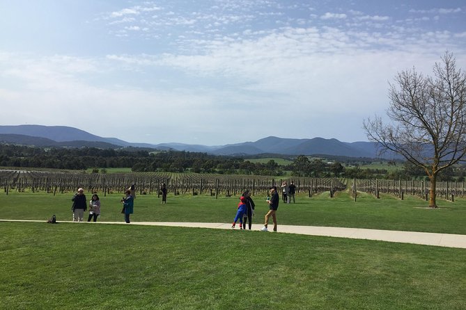 Private Tour of Yarra Valley 8 Hour Wine Tour - Good To Know
