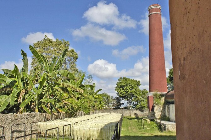 Private Tour: Sotuta De Peon Hacieda Day Trip - Good To Know