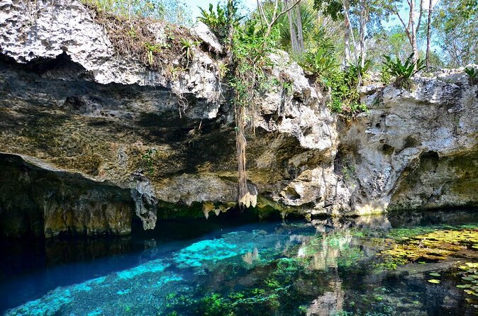 Private Tour The Best Cenotes in Tulum Riviera Maya - Good To Know