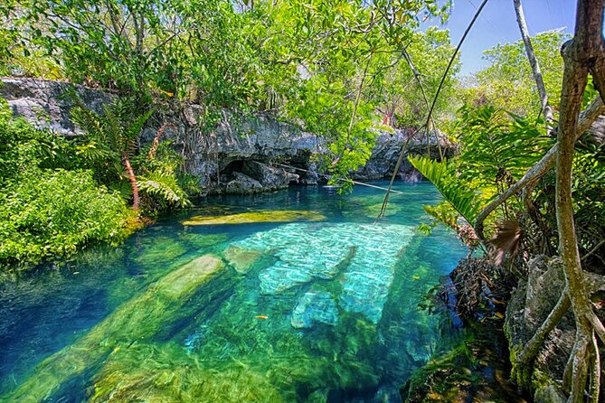 Private Tour to 3 Cenotes in the Riviera Maya With Lunch - Good To Know