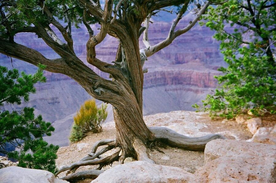 Private Tour to Antelope Canyon X and Horseshoes Bend