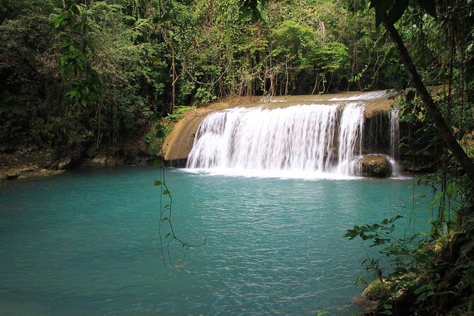 Private Tour to Appleton Estate and YS Falls From Montego Bay - Pricing and Value