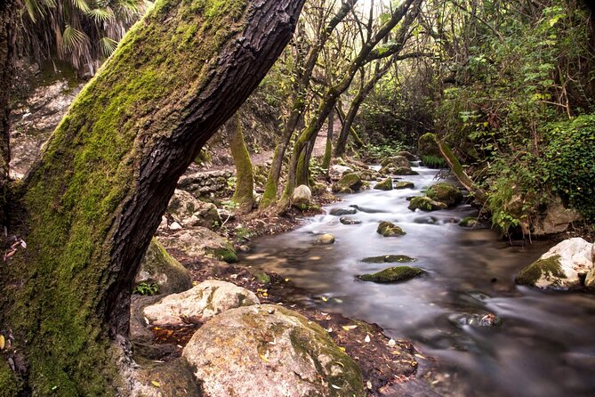 Private Tour to Arcos De La Frontera, El Bosque, and Ubrique From Cadiz