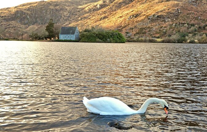 Private Tour to Gougane Barra and Glengarriff