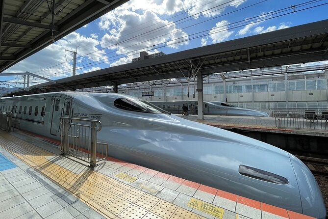 Private Tour to Kokura Castle, Uomachi Street, and Yasaka Shrine