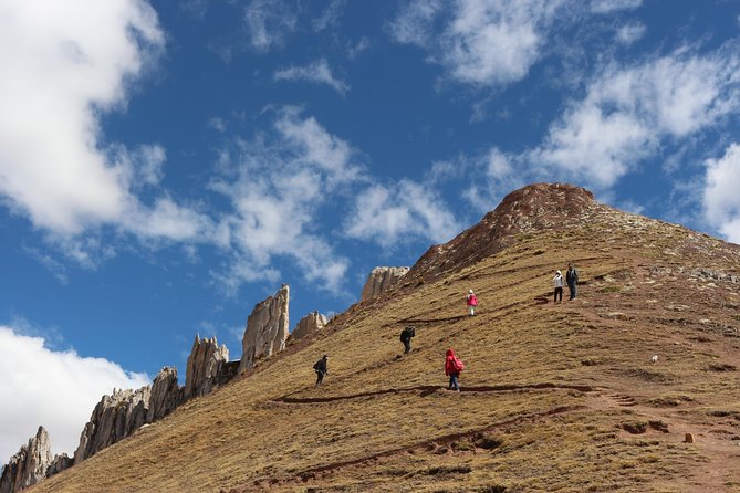 Private Tour to Palcoyo Mountain ;1 Day Tour, Cusco - Inclusions