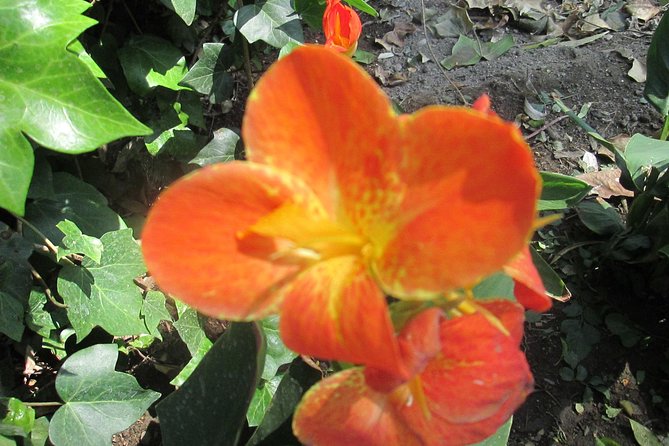 Private Tour to Spain Squaremaría Luisa Park - Tour Details