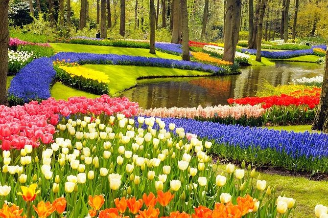 Private Tour to the Keukenhof - Overview and Highlights