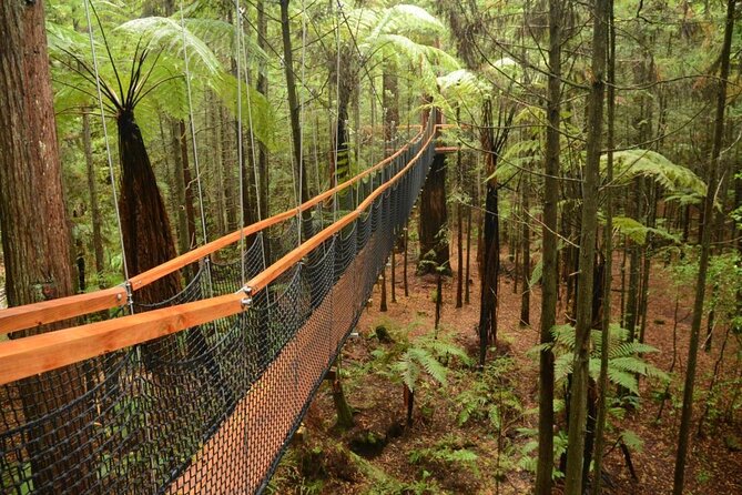 2 Best Shore Excursions In Rotorua