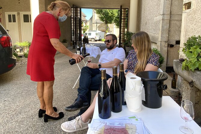 Private Tour: Wines of Burgundy Day Tour From Beaune