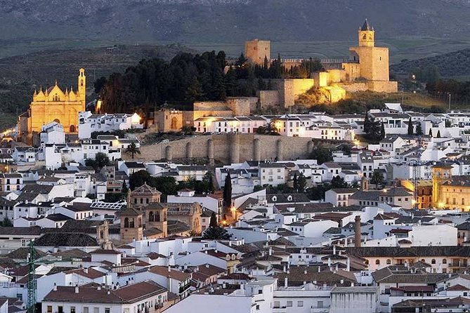 Private Tours From Malaga to Antequera and the Dolmens for up to 8 Persons - Good To Know