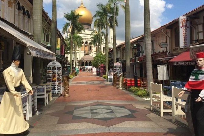Private Tour:Singapore City Tour With Half Day Sentosa Island - Good To Know