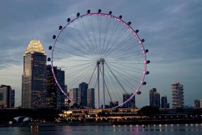 Private Tour:Singapore National Museum and Singapore Flyer and Ducktour - Date and Traveler Information