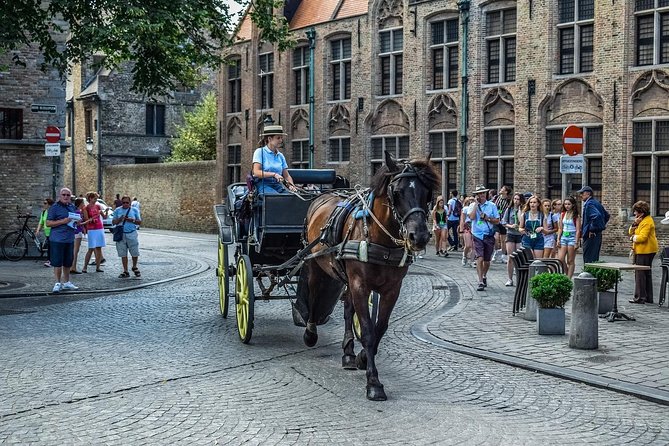 Private Transfer From Amsterdam to Bruges - Service Details