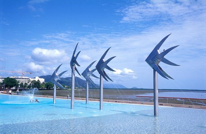 Private Transfer From Cairns Cruise Port to Cairns City Hotels