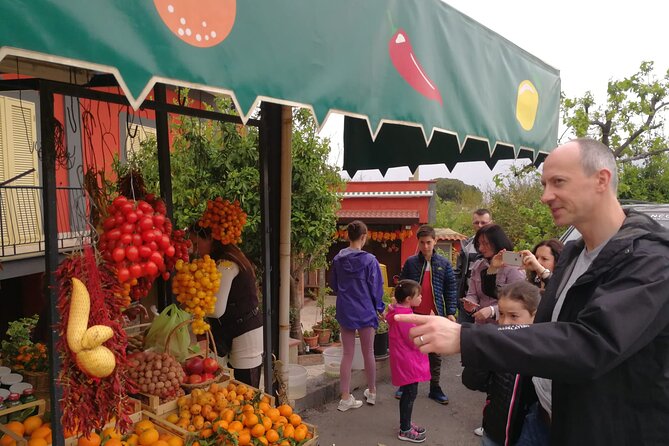 Private Transfer From Naples to Sorrento or Vice Versa via Pompei or Vineria - Good To Know