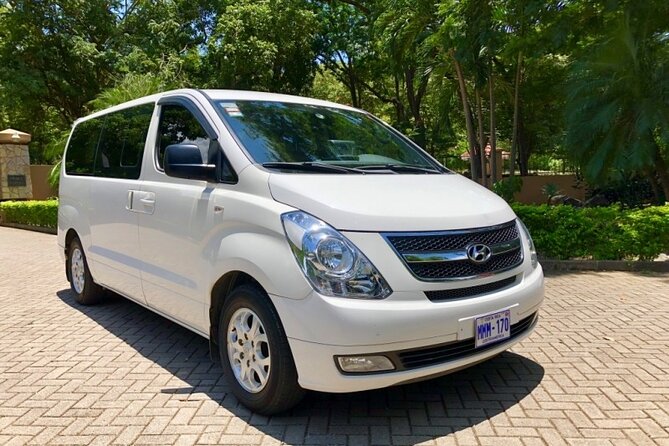 Private Transfer From Punta Cana Airport to Hotels - Good To Know