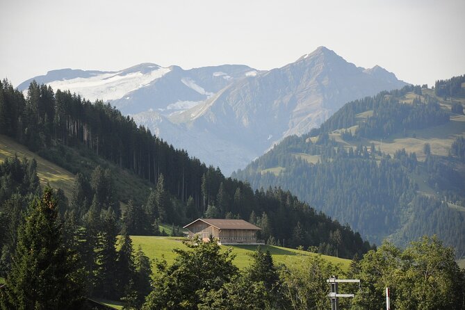 Private Transfer From Zurich to Gstaad With English Speaking Driver