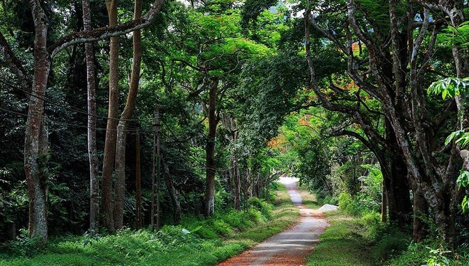Private Transfer Hanoi to Ba Vi National Park Two Ways Full Day - Pricing and Booking