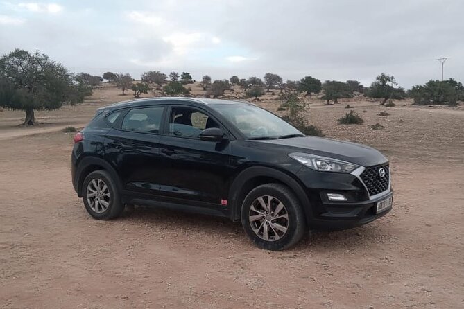 Private Transfer Marrakech to Essaouira or Essaouira Tomarrakech