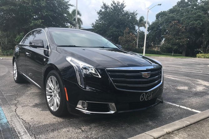 Private Transfer: Orlando Airport MCO to Lake Buena Vista Hotels - Good To Know