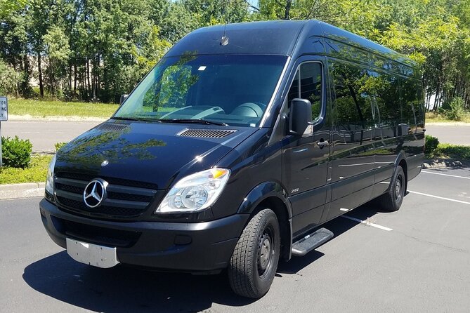 Private Transfer Punta Cana Airport To/From Riu Republica Punta Cana - Good To Know