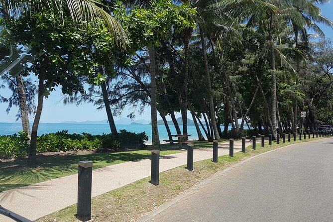 Private Transfers Cairns Airport to Port Douglas