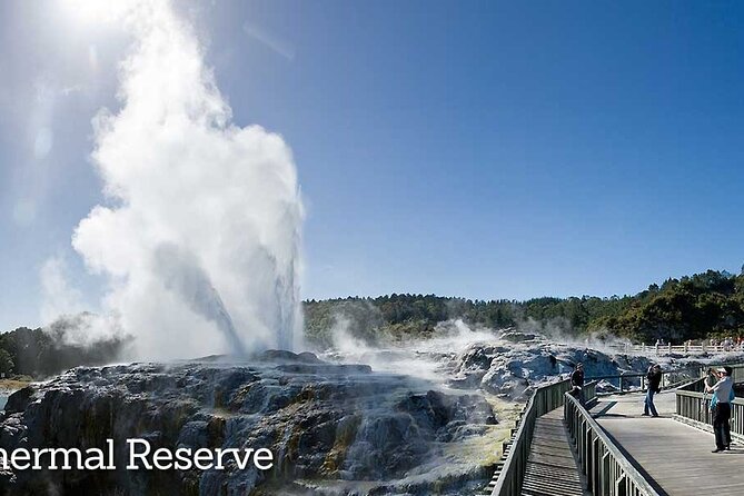 Private Transfers – Rotorua, Taupo, Tauranga, Coromandel, Raglan