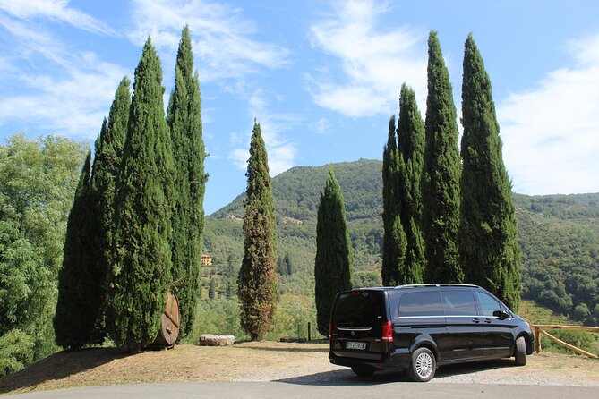 Private Tuscan Wine Tasting With Transport From Lucca - Good To Know