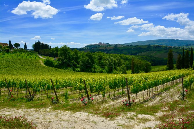 Private Tuscany Day Tour: San Gimignano and Chianti Wine Region From Florence - Availability and Confirmation