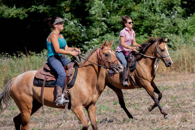 Private Tuscany Horseback Ride - Good To Know