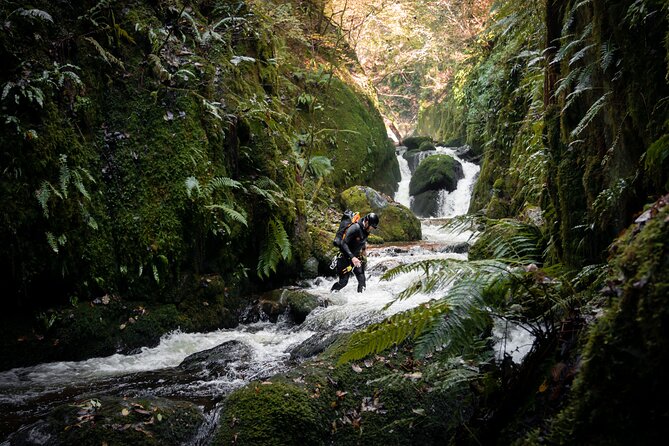 Private Ultimate Canyoning Experience in the Ochil Hills