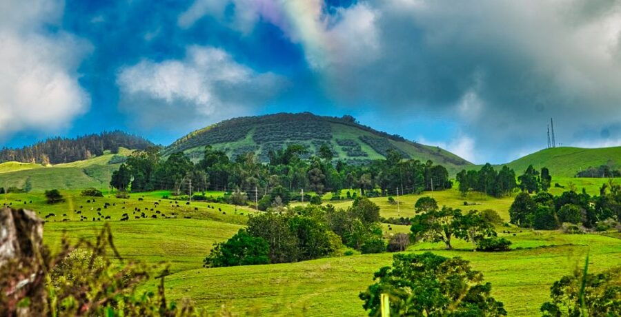 Private Upcountry Maui VIP Sunset Tour - Full Day