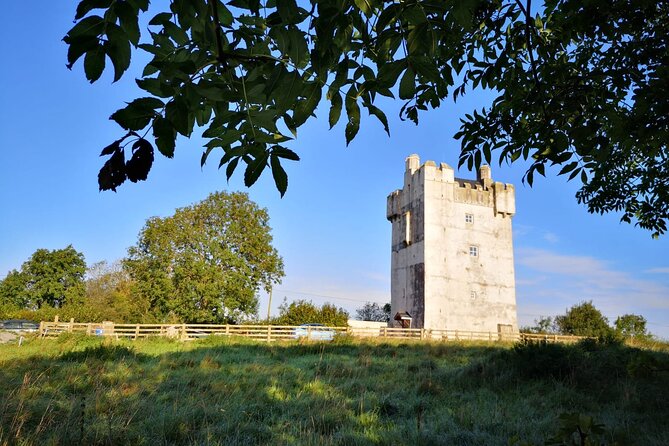 Private Visit in an Irish Castle Home