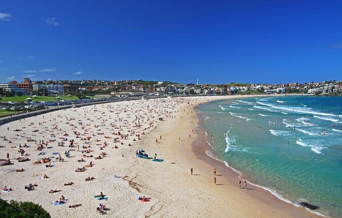 Private Walangaris Aboriginal Walking Tour in Bondi Beach