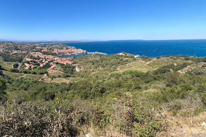 Private Walk In The Vineyards Of Collioure With Wine Tasting