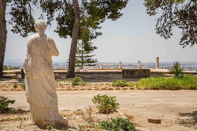 Private Walking Tour of Carthage Archaeological Site in Tunisia - Good To Know