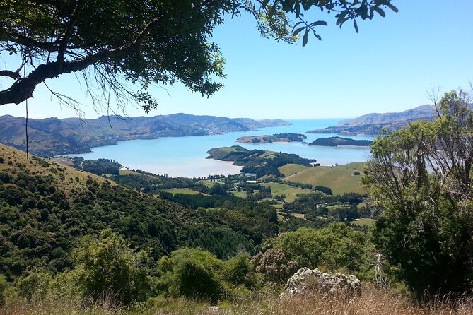 Private Walking Tour - Packhorse Hut From Christchurch