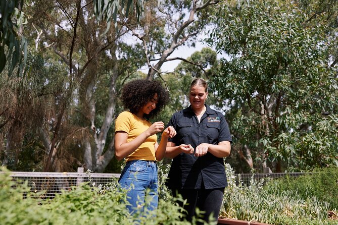 Private Warriparinga Cultural and Historical Tour