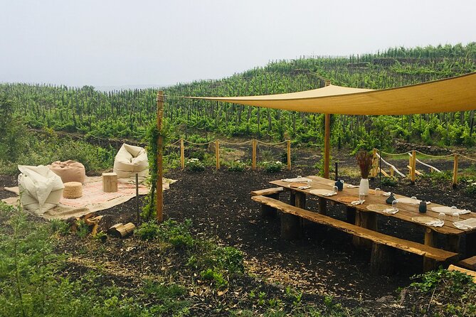 Private Wine and Food Tasting Immersed in Nature in Milo