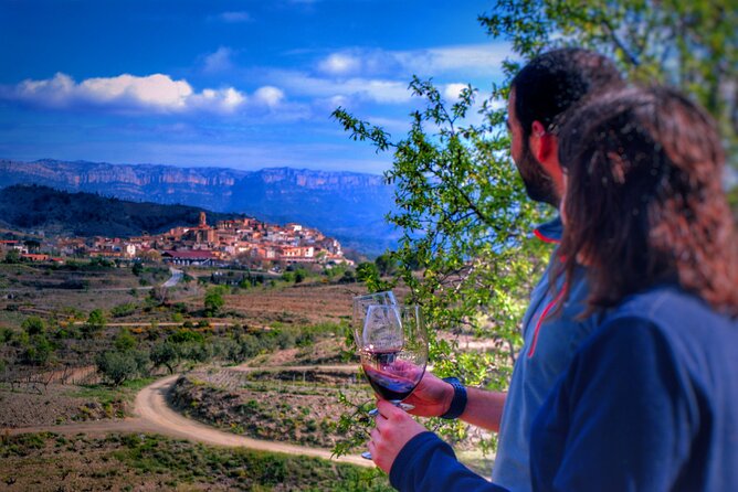 Best Tours In Falset