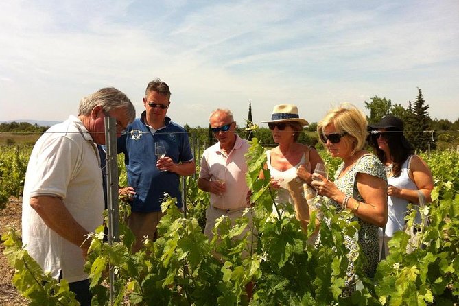 Private Wine Day Tour From Carcassonne and Around.