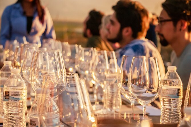 Private Wine Tasting Experience in Parras De La Fuente - Overview and Inclusions