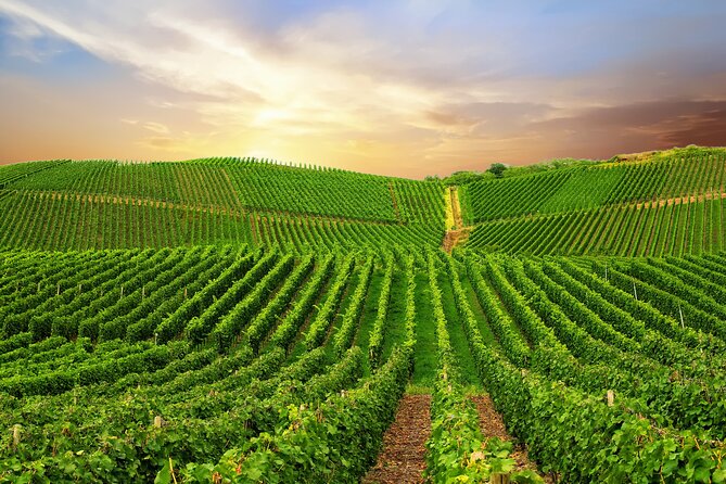 Private Wine Tasting Tour in Munich With a Wine Expert - Pricing and Booking Details