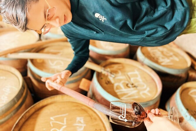 Private Wine Tour at Valle De Guadalupe (A Wine Tasting Included). - Good To Know