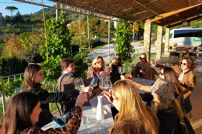Private Wine Tour - Lucca Hills and Montecarlo (2 Wineries)