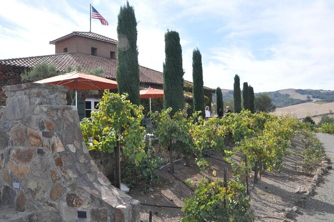 Private Wine Tour of Napa and Sonoma up to 14 People